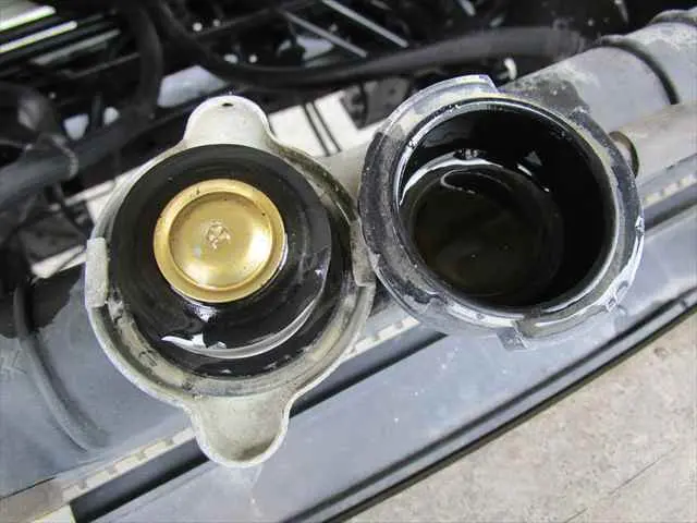 管理番号3631|日野 レンジャー TKG-FC9JCAP(2WD)の写真11