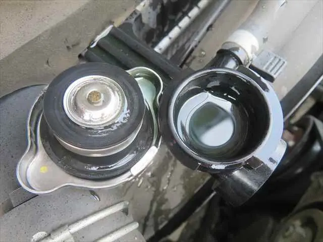 管理番号3648|いすゞ エルフ TPG-NMR85AN(2WD)の写真12