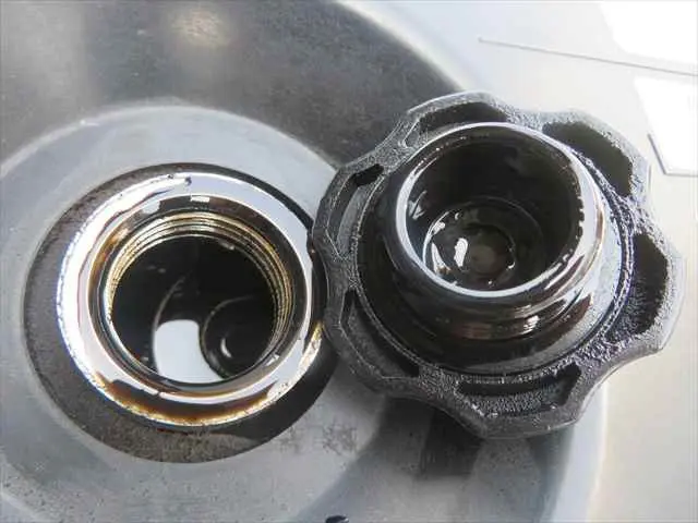 管理番号3648|いすゞ エルフ TPG-NMR85AN(2WD)の写真13