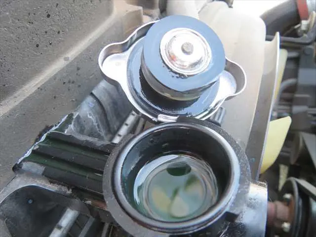 管理番号3648|いすゞ エルフ TPG-NMR85AN(2WD)の写真17