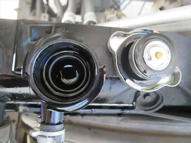 管理番号3686|いすゞ フォワード 2RG-FRR90S2(2WD)の写真11