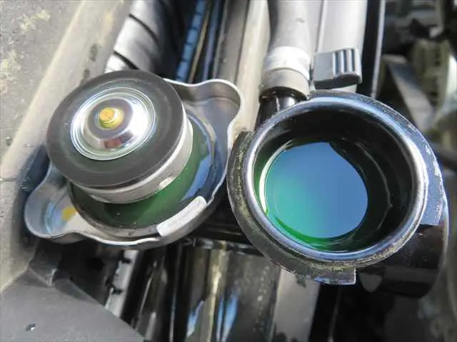 管理番号3707|いすゞ エルフ TPG-NJR85AD(2WD)の写真12