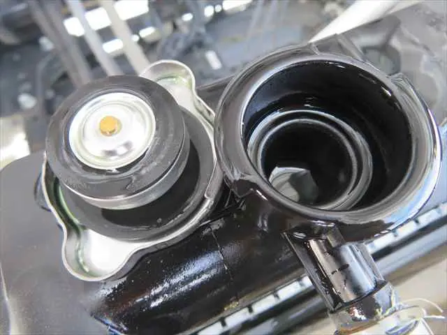 管理番号3742|いすゞ フォワード 2RG-FRR90S2(2WD)の写真10