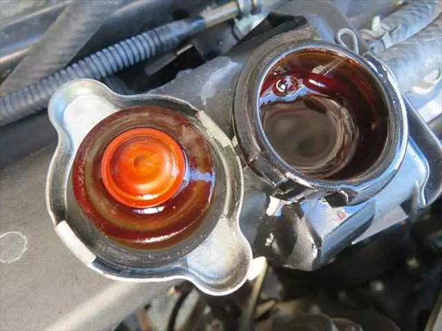 管理番号3759|三菱 ファイター 2PG-FK64N(2WD)の写真10