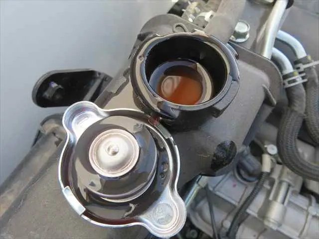 管理番号3762|三菱 キャンター 2RG-FBA60(2WD)の写真12