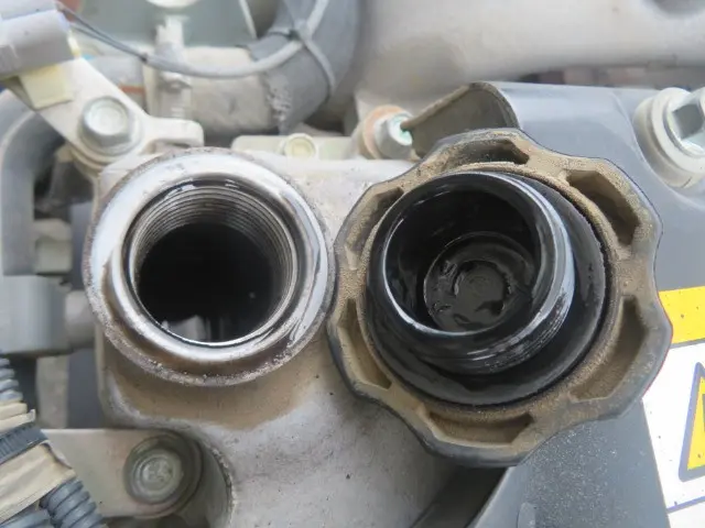 管理番号3782|いすゞ フォワード 2RG-FRR90S2(2WD)の写真14