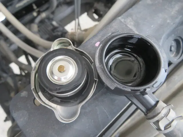 管理番号3782|いすゞ フォワード 2RG-FRR90S2(2WD)の写真15