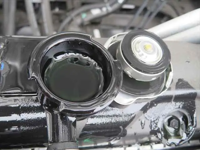 管理番号3793|いすゞ フォワード 2RG-FRR90S4(2WD)の写真12