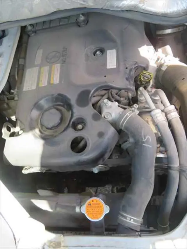 管理番号3796|いすゞ エルフ TRG-NHR85A(2WD)の写真10