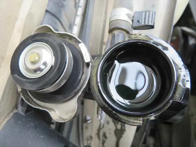 管理番号3797|いすゞ エルフ TPG-NKR85AD(2WD)の写真14