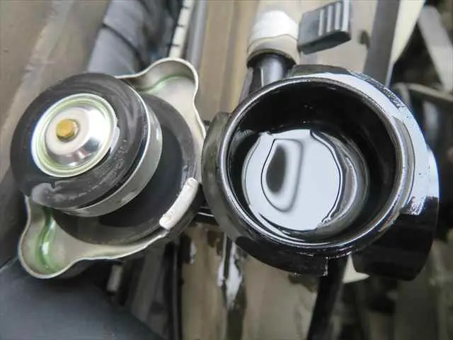 管理番号3803|いすゞ エルフ TPG-NJR85AD(2WD)の写真14