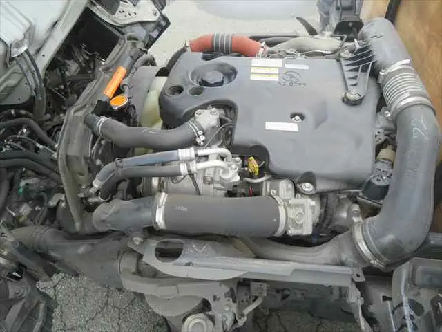 管理番号3823|いすゞ エルフ TRG-NHR85A(2WD)の写真10