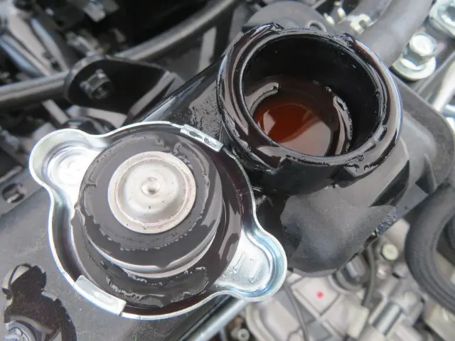 管理番号3865|三菱 キャンター 2RG-FBAV0(2WD)の写真14