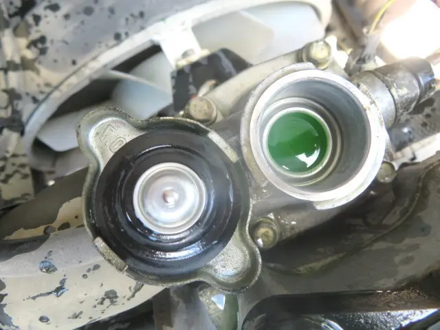 管理番号3902|三菱 ファイター TKG-FK71F(2WD)の写真15