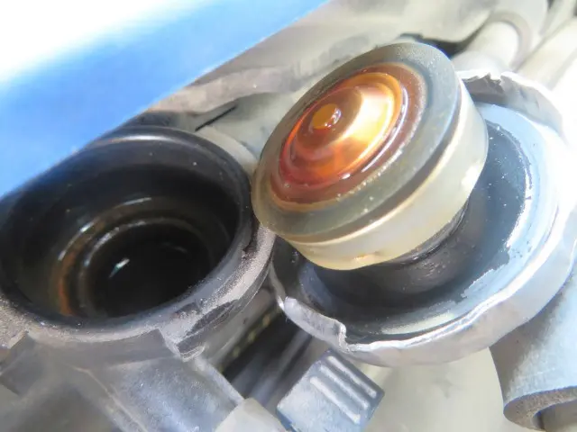 管理番号3910|いすゞ エルフ 2RG-NJR88A(2WD)の写真14
