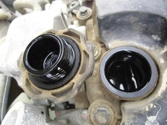管理番号3929|いすゞ エルフ 2RG-NKR88AN(2WD)の写真15