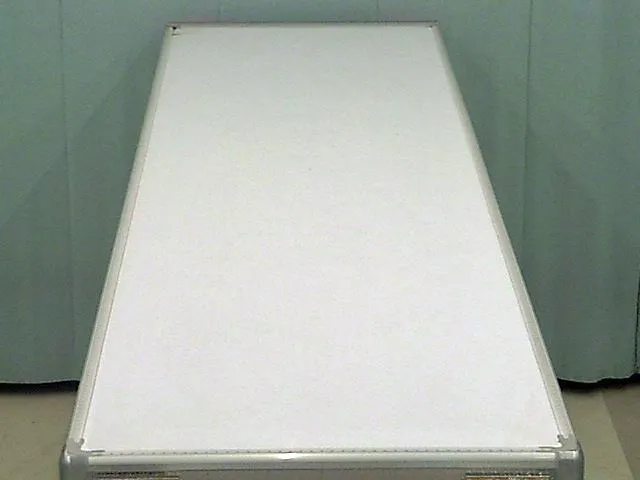 日野 プロフィア 2DG-FW1AHCの写真49