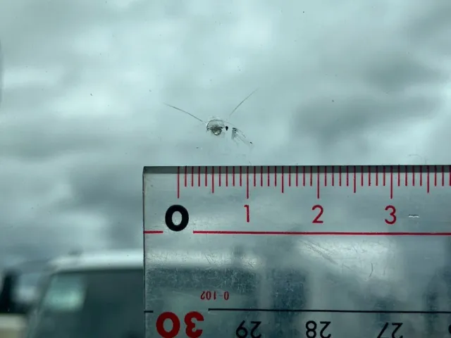 フロントガラスに飛び石があります。|日野 レンジャー QKG-FE7JKAAの写真50