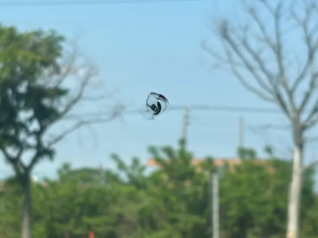 フロントガラスに飛び石跡あります。|三菱 スーパーグレート 2PG-FU74HZの写真30