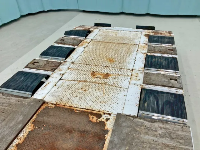 12輪です。|THT  不明の写真19