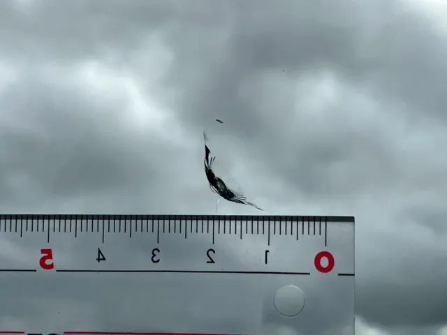 三菱 スーパーグレート 2PG-FS74HZの写真29