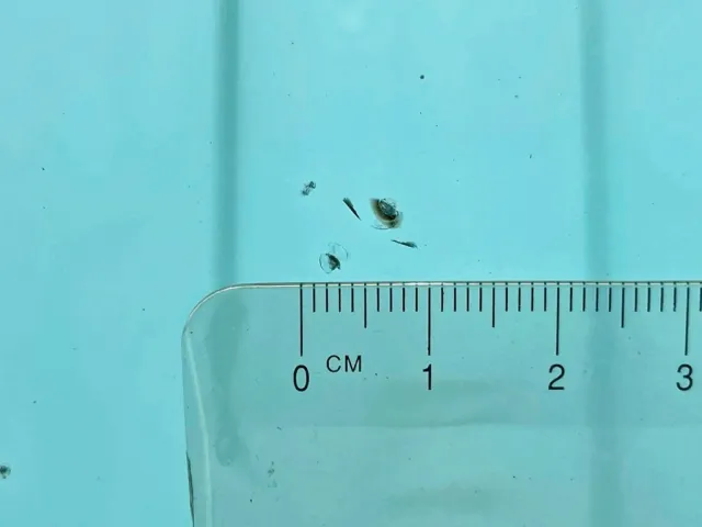 フロントガラスの助手席側上部に飛び石跡があります。|いすゞ フォワード TKG-FRR90S2(2WD)の写真37