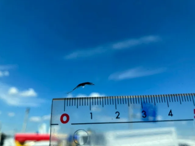 フロントガラスに飛び石があります。|UDトラックス クオン 2PG-GK5AADの写真29