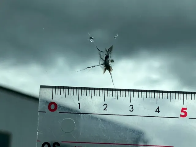 いすゞ フォワード 2RG-FRR90S2(2WD)の写真36