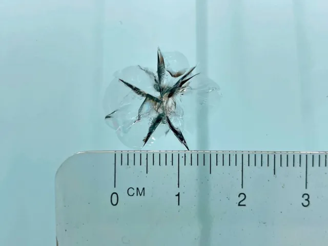 フロントガラスの中央上部に飛び石跡があります。|いすゞ フォワード 2RG-FRR90T2(2WD)の写真23