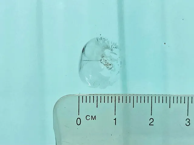 フロントガラスの運転席側正面に飛び石跡があります。|いすゞ フォワード TKG-FRR90S2(2WD)の写真23