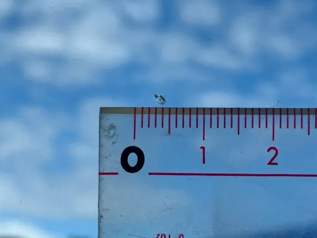 いすゞ フォワード TKG-FRR90S2(2WD)の写真37