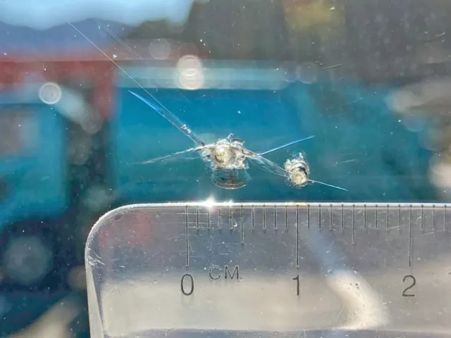 フロントガラスの運転席側下部に飛び石跡があります。|日野 レンジャー 2KG-FD2ABG(2WD)の写真48