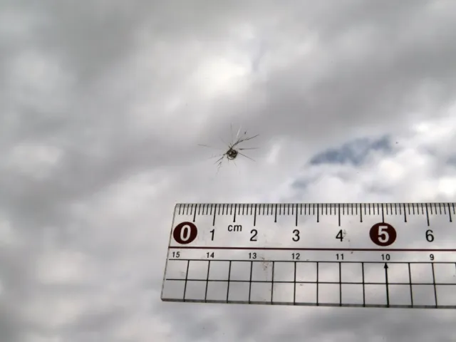 フロントガラスに飛び石跡があります。|UDトラックス クオン 2PG-GK5AADの写真22