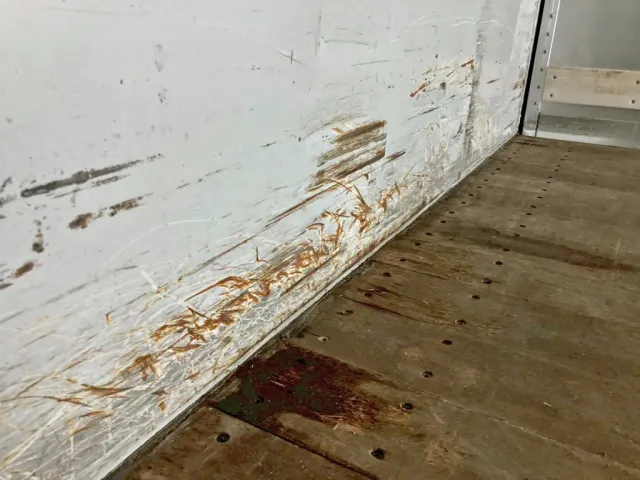 プロテクター中央下部にキズ・サビ・ヘコミがあります。|UDトラックス クオン 2PG-CG5CAの写真24