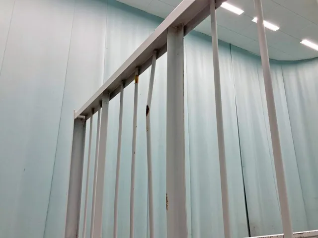 プロテクター格子に曲がりがあります。|いすゞ フォワード TKG-FRR90S2(2WD)の写真16