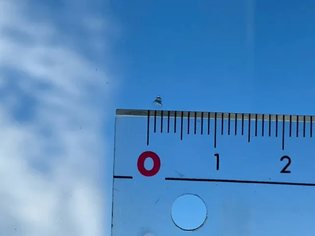 三菱 ファイター 2KG-FK72F(2WD)の写真26