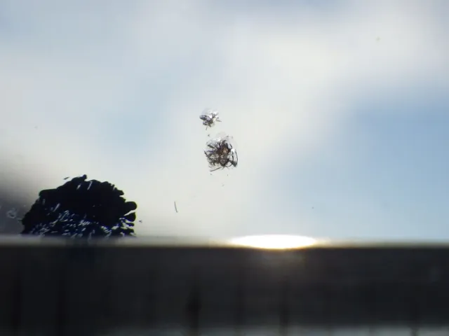 フロントガラスに小キズがあります。|UDトラックス クオン 2PG-CW5ALの写真29