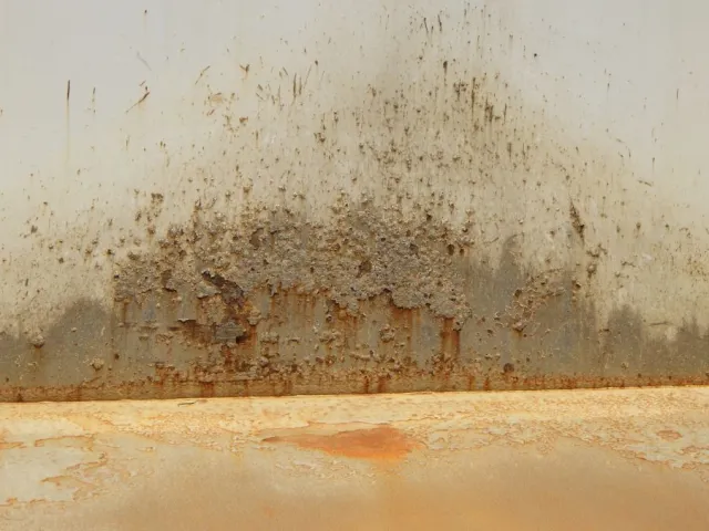 プロテクター裏側にキズ・サビ・ヘコミがあります。|UDトラックス クオン 2PG-CW5ALの写真70