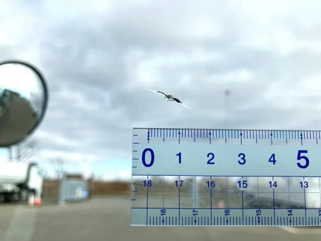 フロントガラス助手席側に飛び石、割れがあります。|三菱 ファイター 2KG-FK62F(2WD)の写真28