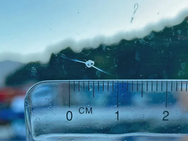 いすゞ フォワード 2KG-FVZ60U2の写真21