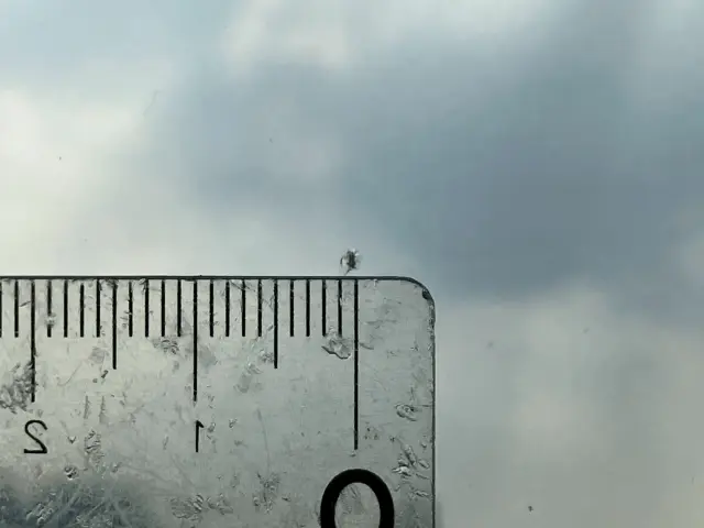 いすゞ エルフ 2RG-NPR88AN(2WD)の写真16