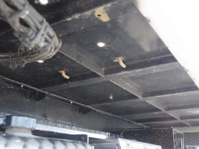 三菱 キャンター TKG-FEB80(2WD)の写真12