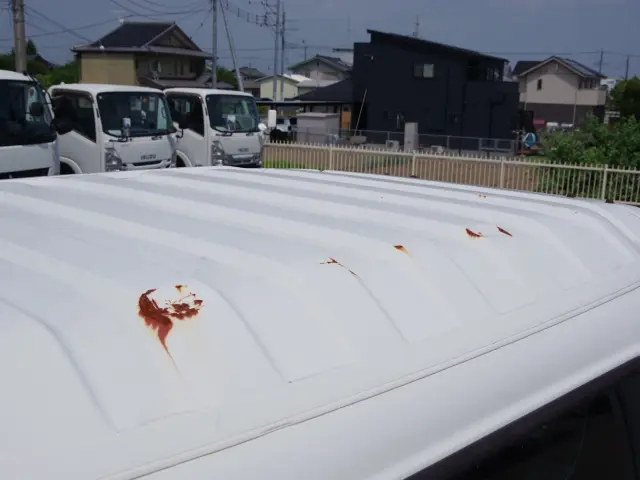 いすゞ エルフ TPG-NPR85AN改(2WD)の写真20