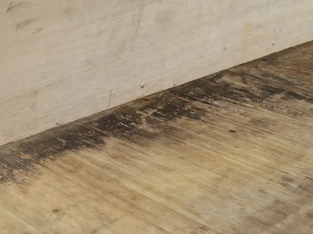 いすゞ エルフ TPG-NPR85ANの写真13