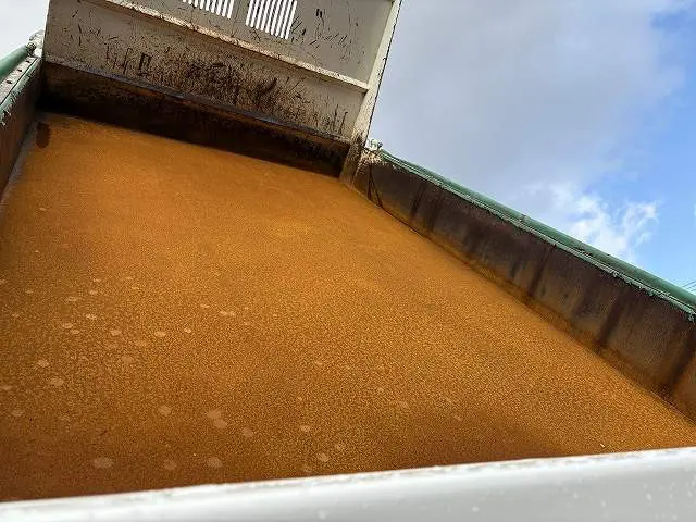 日野 レンジャー TKG-FC9JCAPの写真6