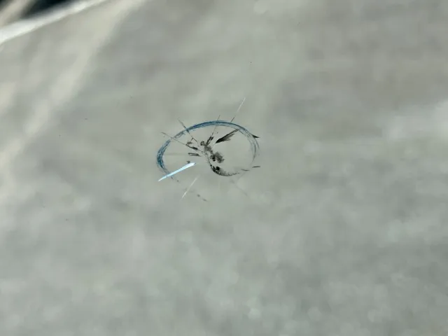 フロントガラスに飛び石があります。|日野 レンジャー TKG-FD9JGAA(2WD)の写真14