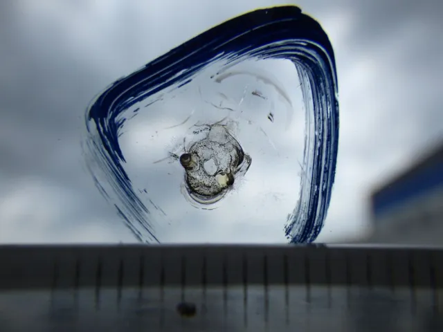 フロントガラスに飛び石キズがあります。|三菱 ファイター TKG-FK61F(2WD)の写真13