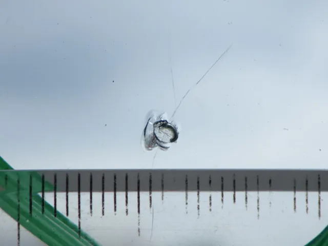 フロントガラスに飛び石キズがあります。|日野 レンジャー 2KG-FC2ABA(2WD)の写真17