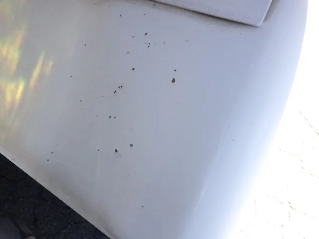 左右のリヤフェンダーにキズがあります。|いすゞ フォワード 2RG-FSR90S2の写真29