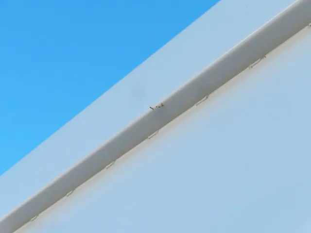 ボディーに小さいキズ・少しサビがあります。|トレクス  PFB34112の写真28